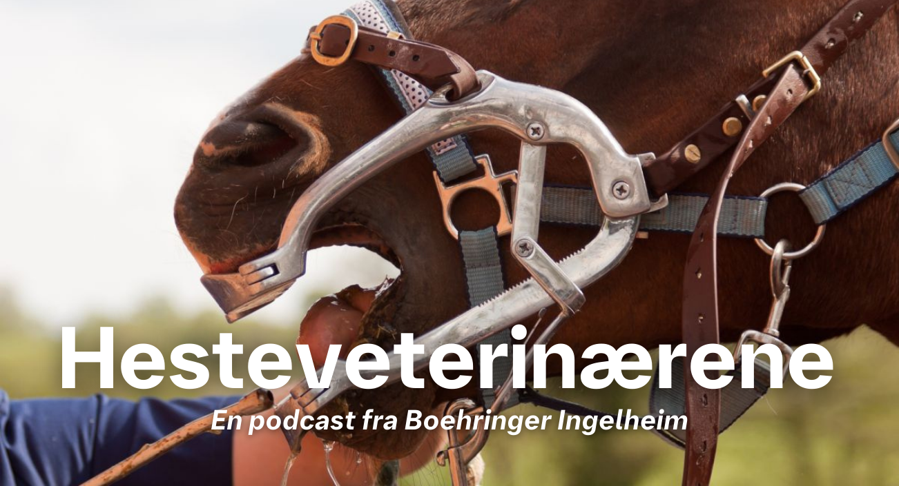 Hesteveterinærerna