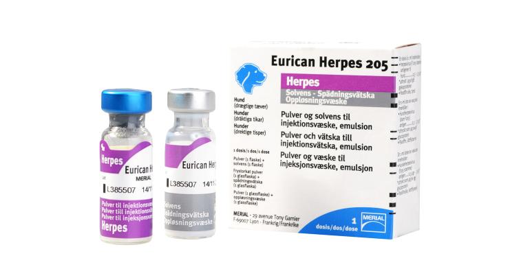 Eurican Herpes 205