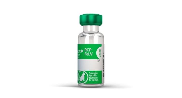 Purevax RCPCh Felv