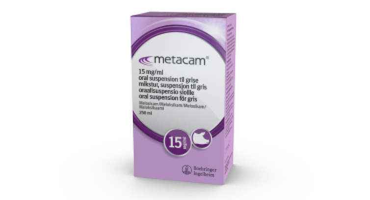 Metacam oral