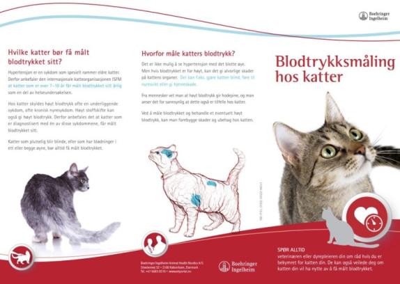 Dyreeierbrosjyre blodtrykksmåling hos katter