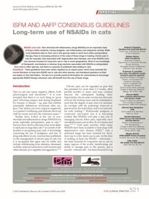 Long term use of NSAIDs in cats
