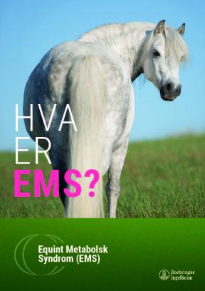 Hva er EMS?